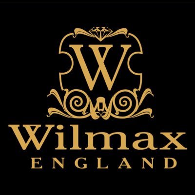 Wilmax Блюдо WL-992020 (овальное, без бортов, 20 см)