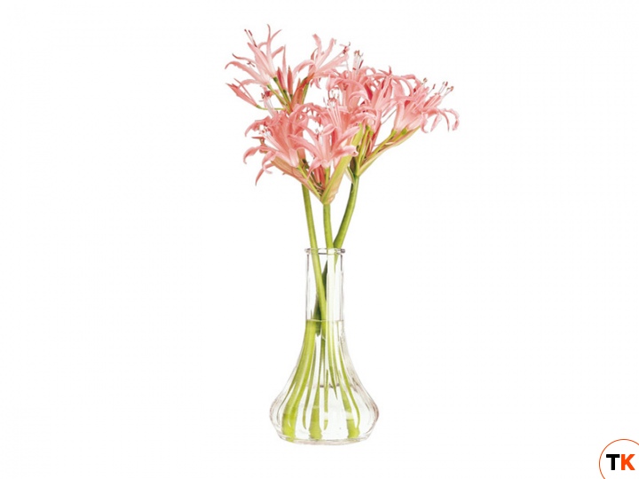 Ваза Cambro BV6CW 135 (15см)