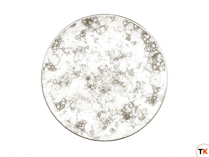 Столовая посуда из фарфора Bonna Rocks Brown тарелка плоская RBR GRM 25 DZ (25 см)