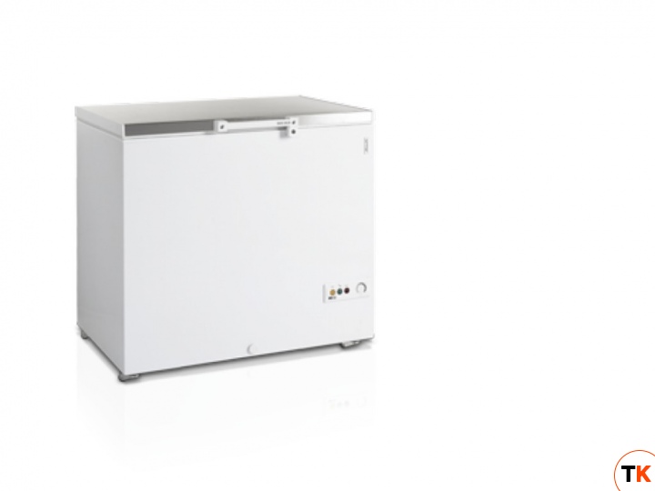 Ларь Tefcold морозильный FR305/R600