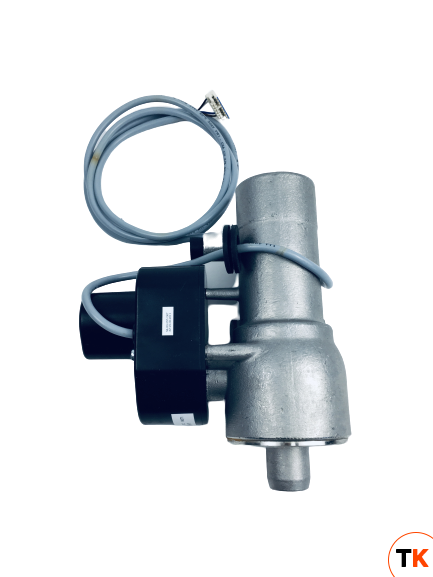 Клапан шаровый 54.00.357 в сборе для Rational SCC 61-202