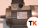 Двигатель тестомеса GAM S40/50 2СКОР. №48 RIMPS4048TR2V фото 1